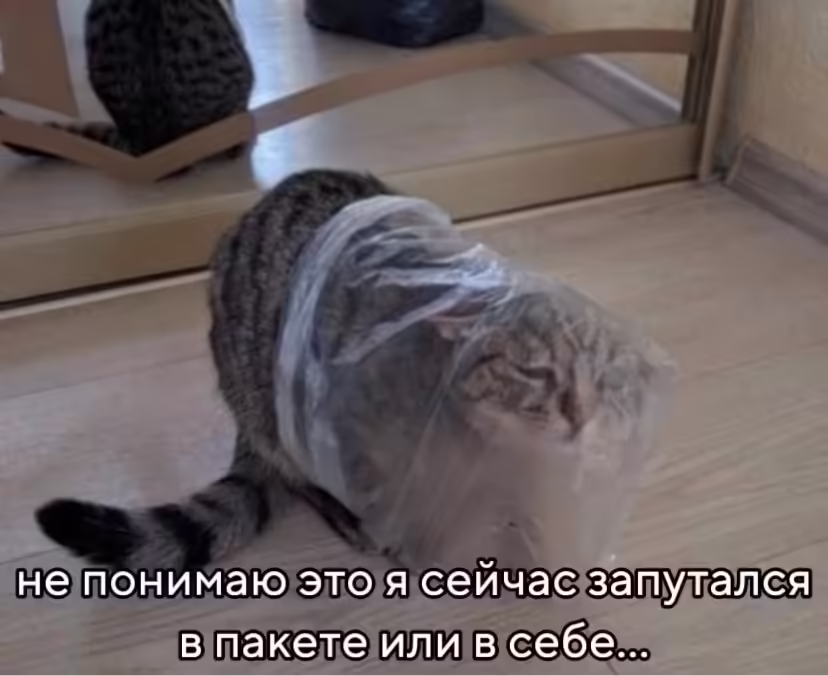 Смешнявка #1564