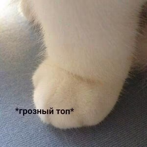 Смешнявка #1569