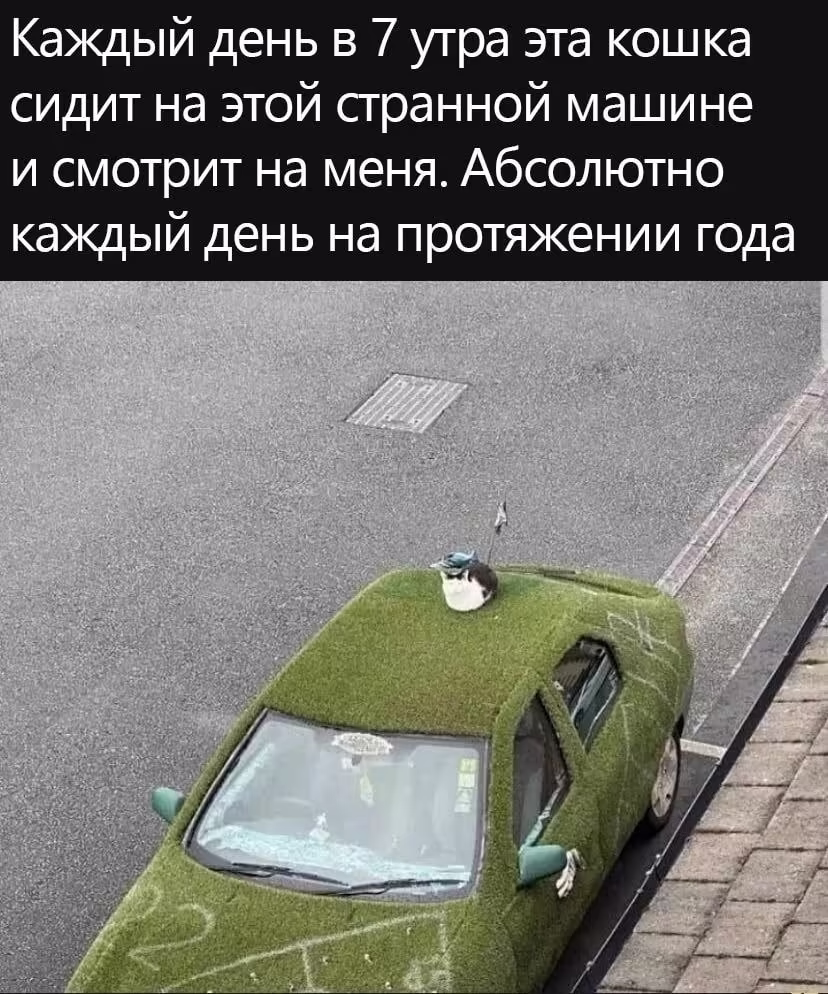 Смешнявка #1573