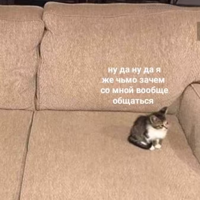 Смешнявка #1578