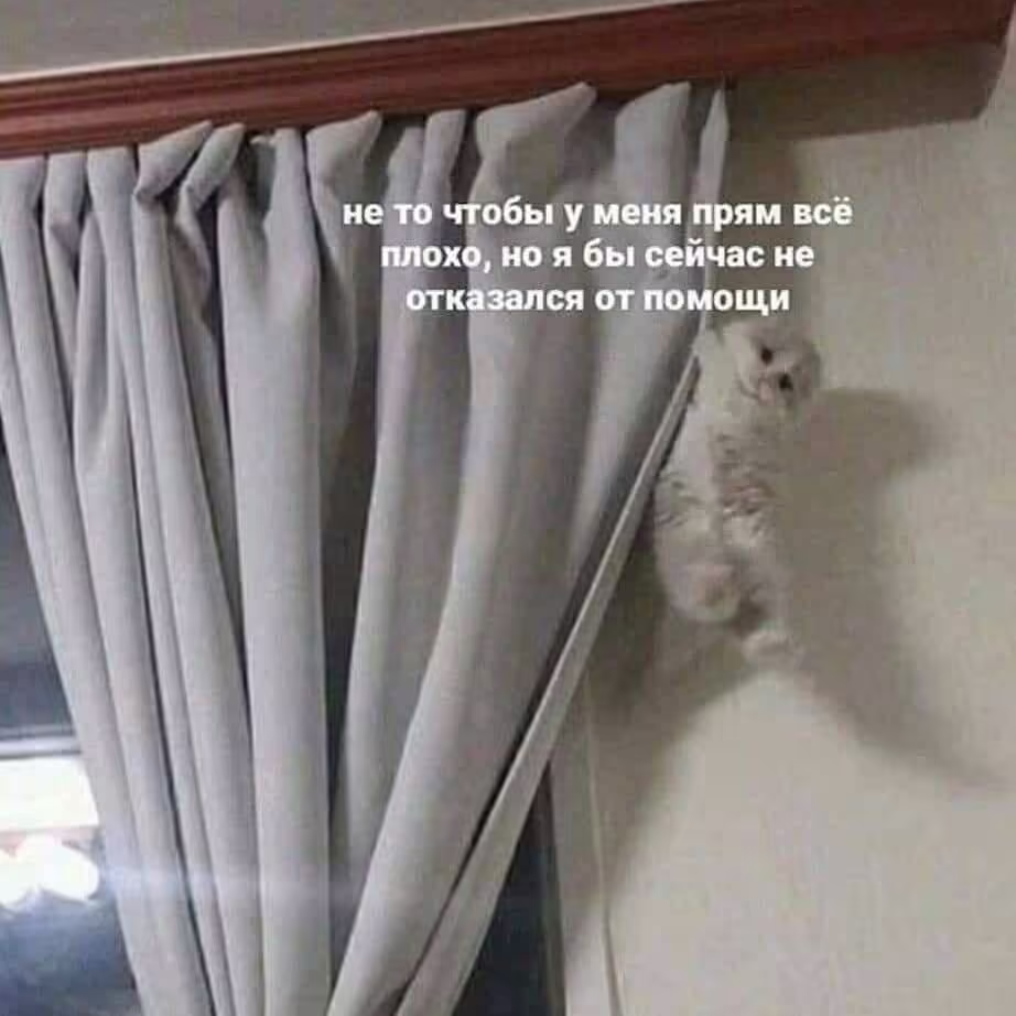 Смешнявка #1596