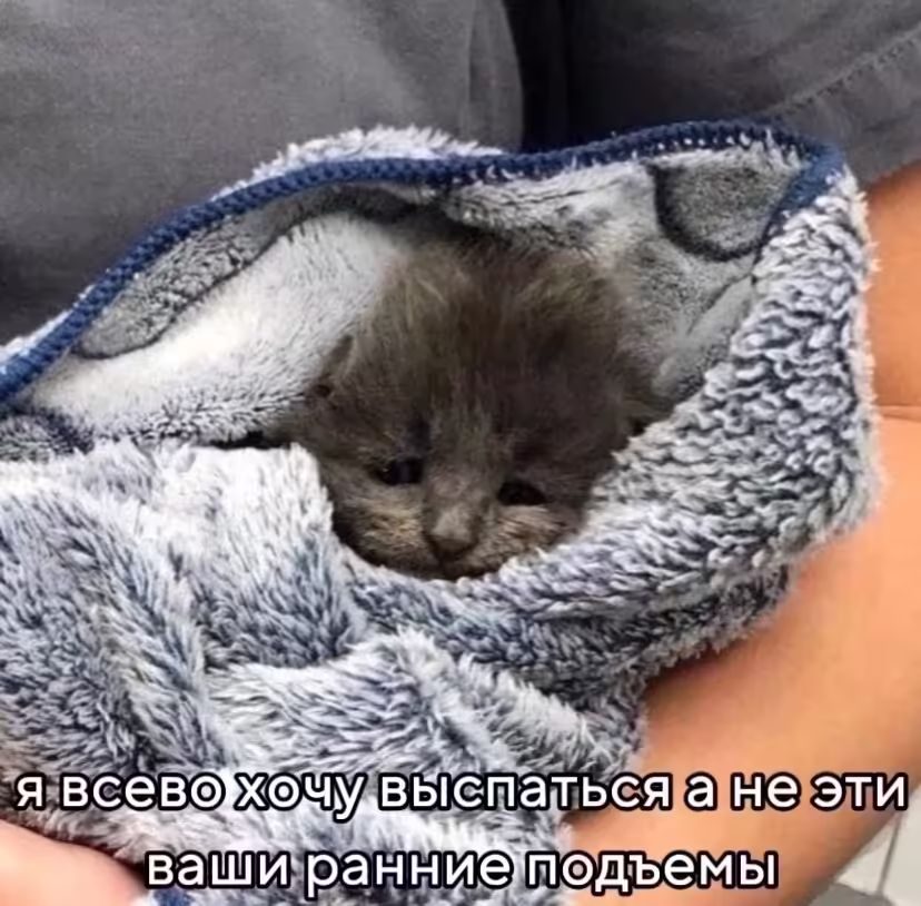 Смешнявка #1601