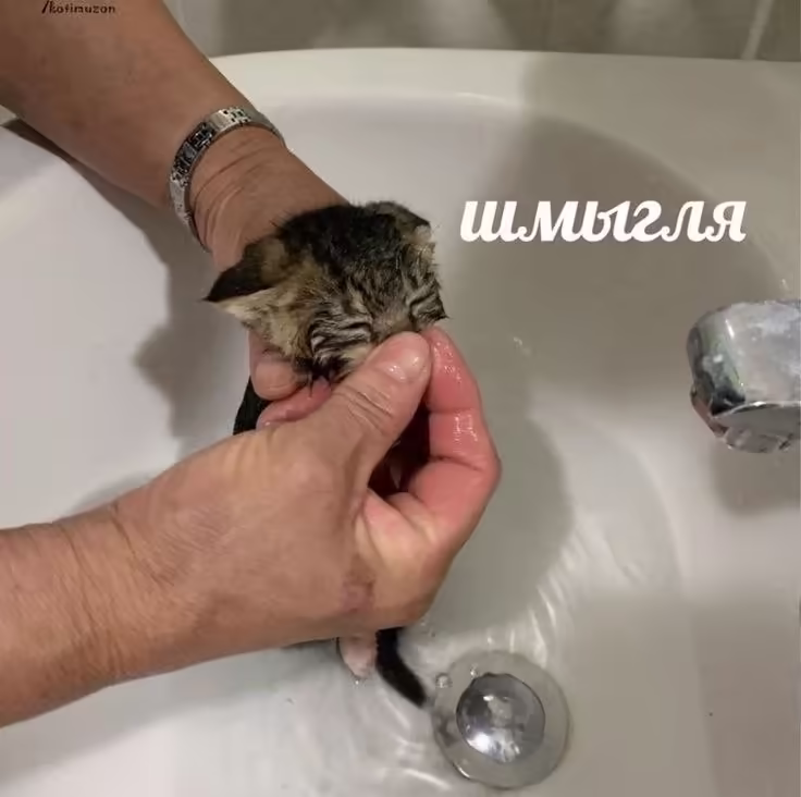 Смешнявка #1609