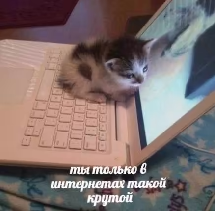 Смешнявка #1610