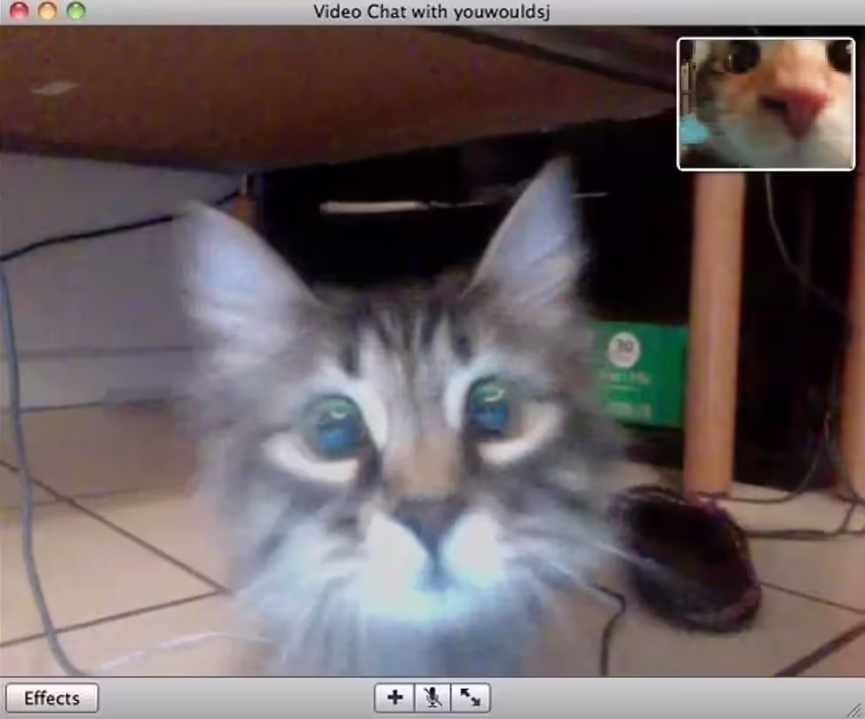 Смешнявка #1618