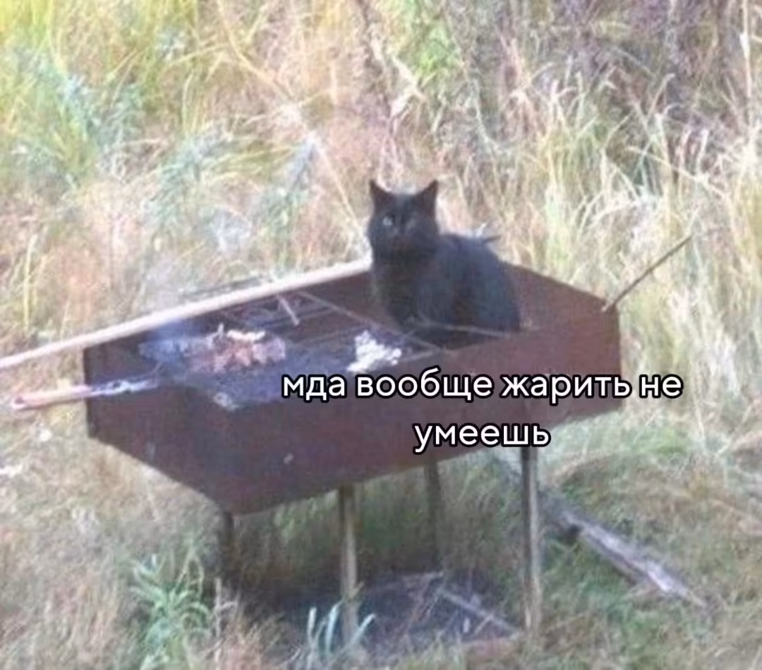 Смешнявка #1631