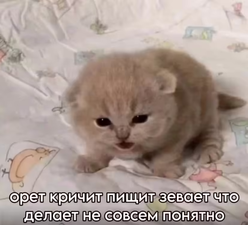 Смешнявка #1632