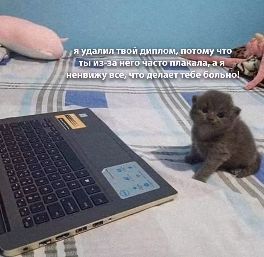 Смешнявка #1635