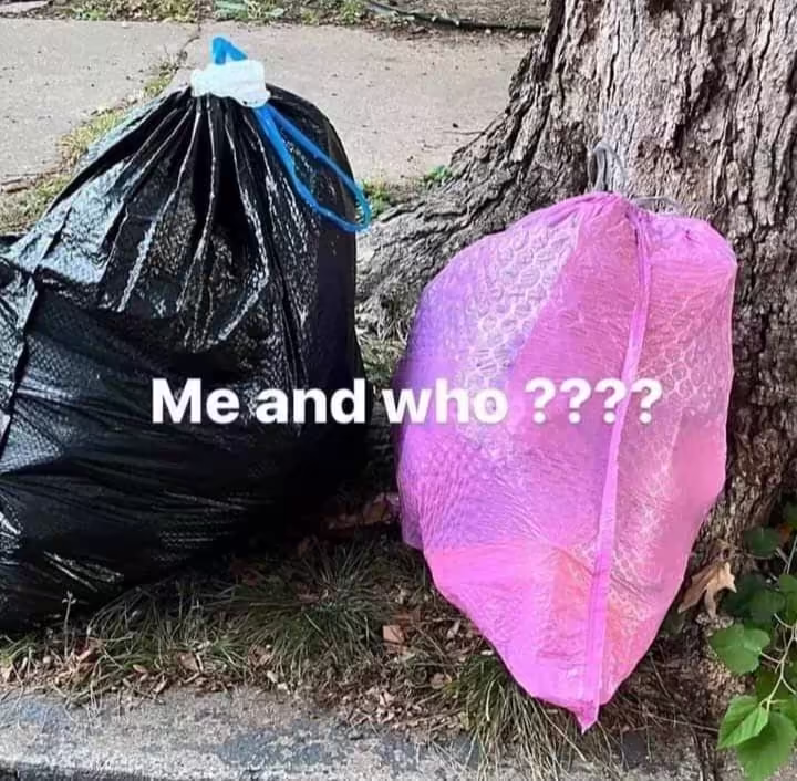 Смешнявка #1647