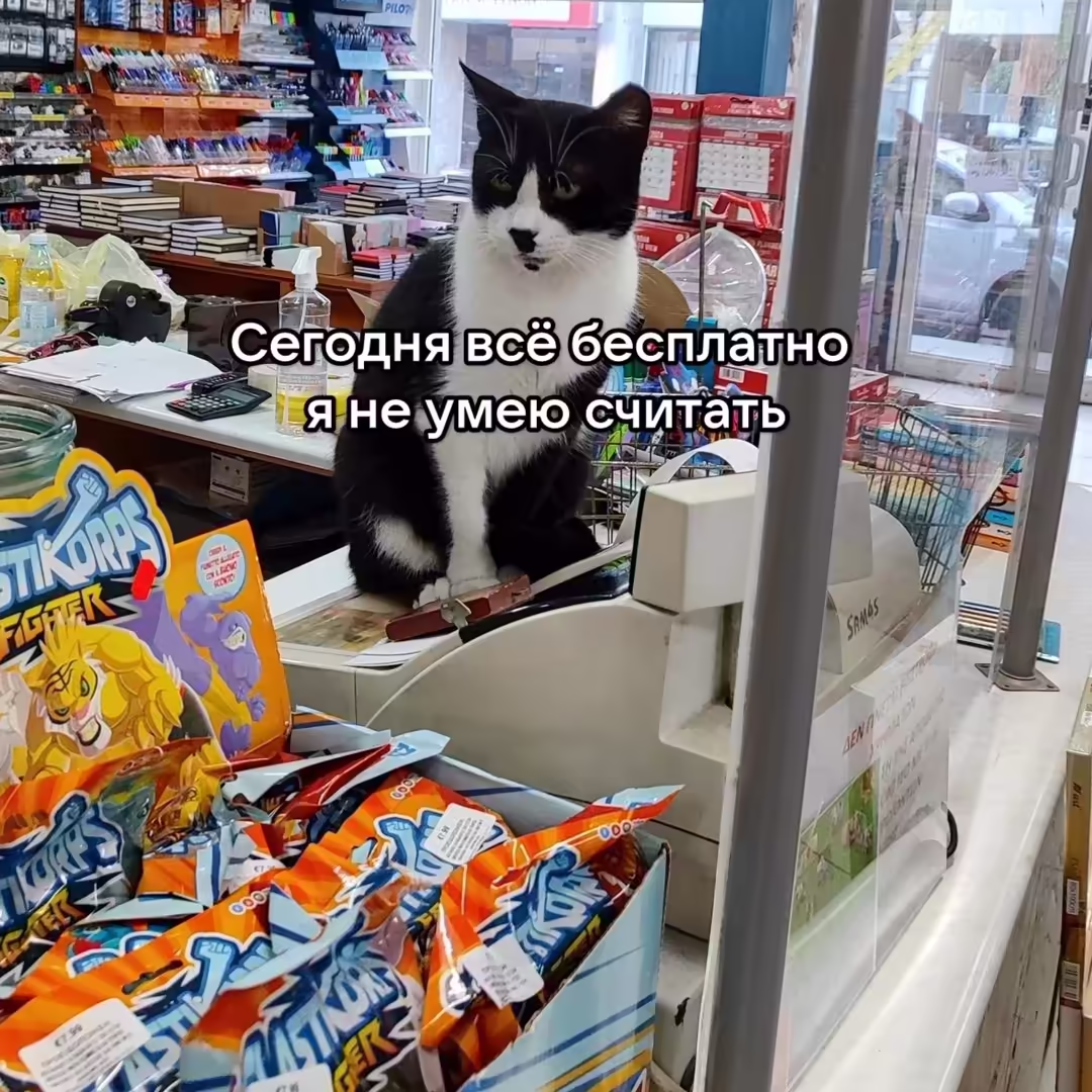 Смешнявка #1649