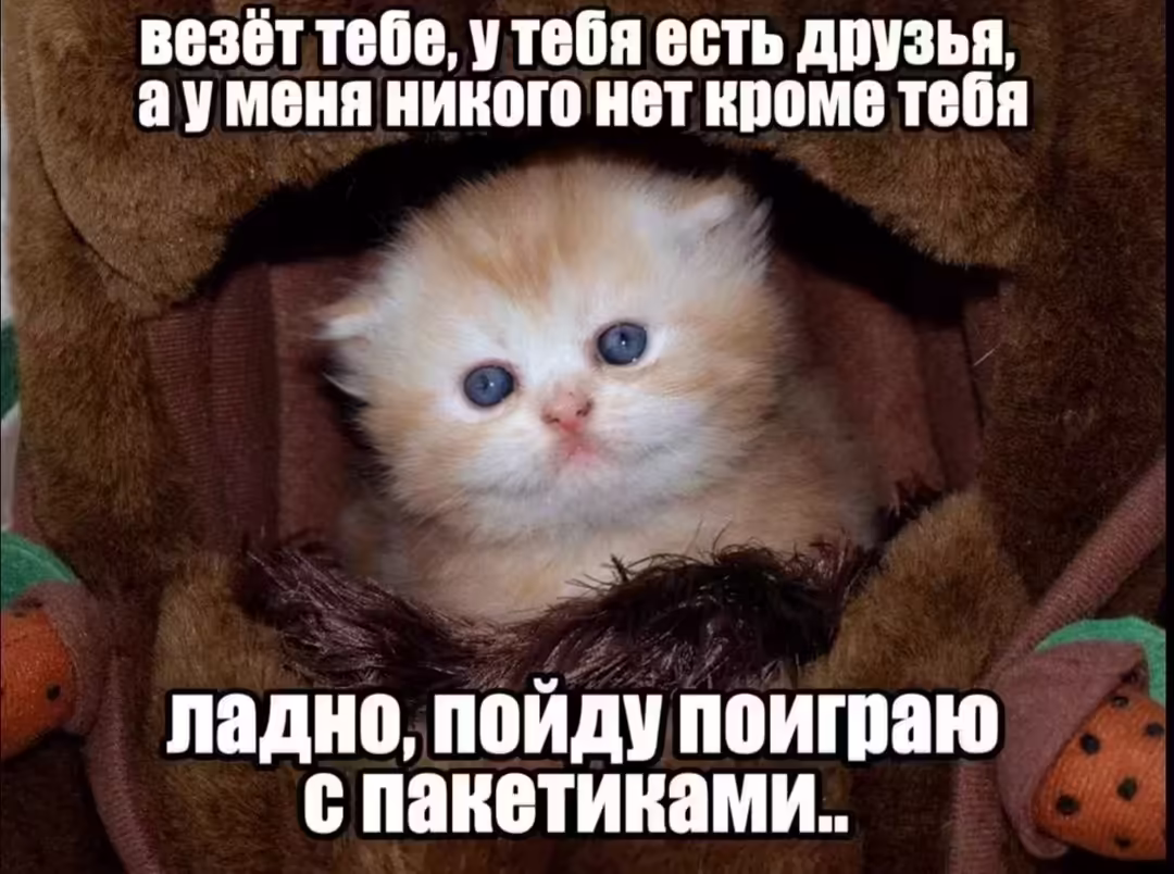 Смешнявка #1667