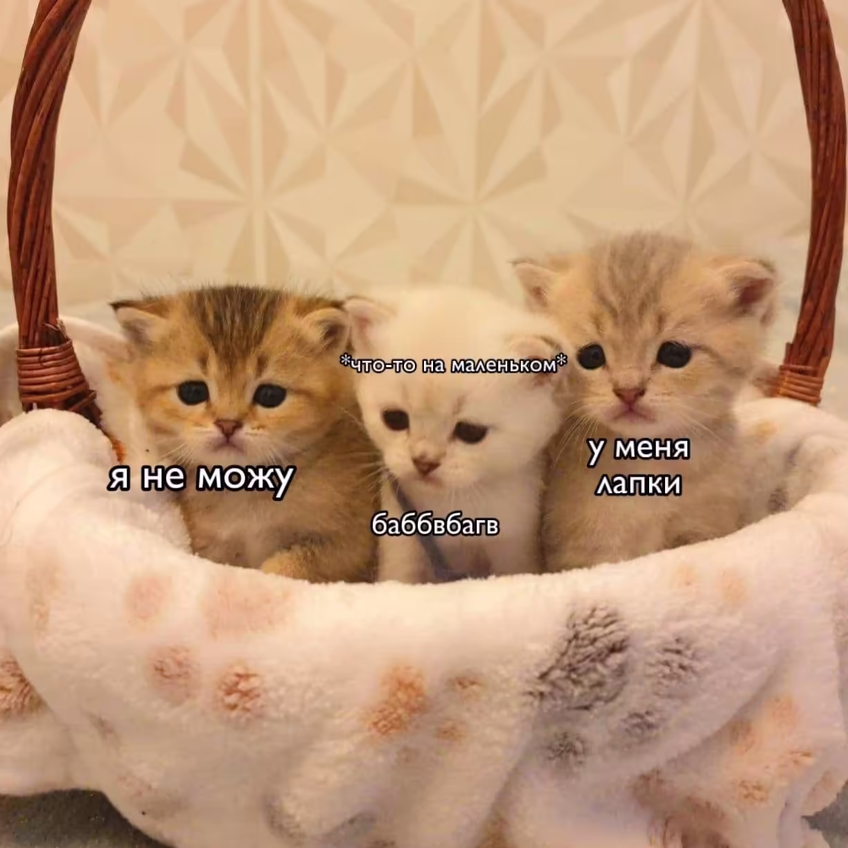 Смешнявка #1672