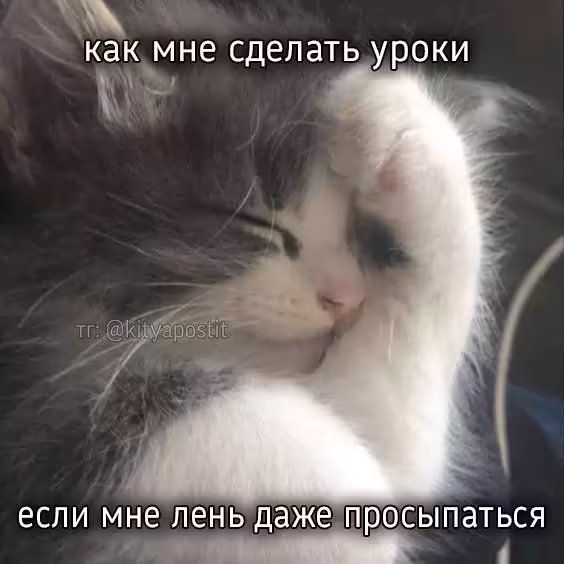 Смешнявка #1675