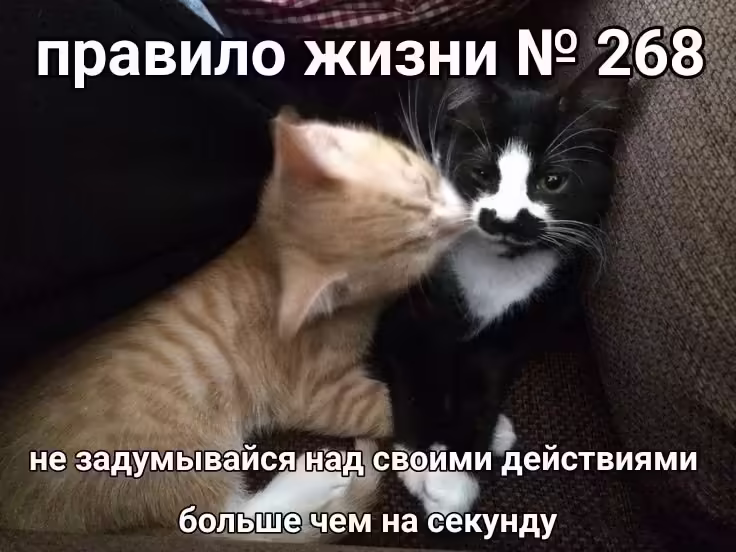 Смешнявка #1689