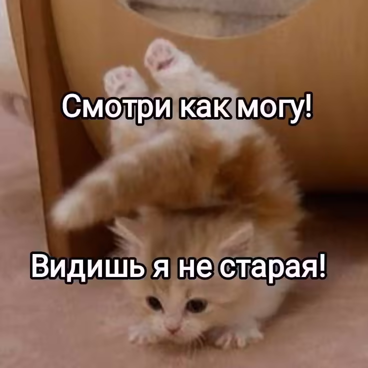 Смешнявка #1697