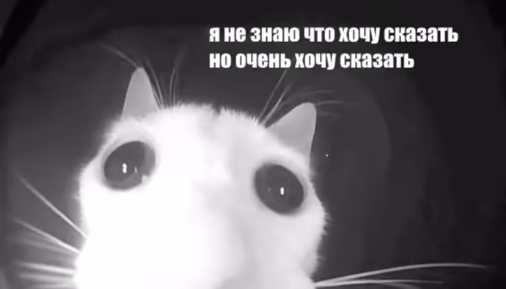 Смешнявка #1705