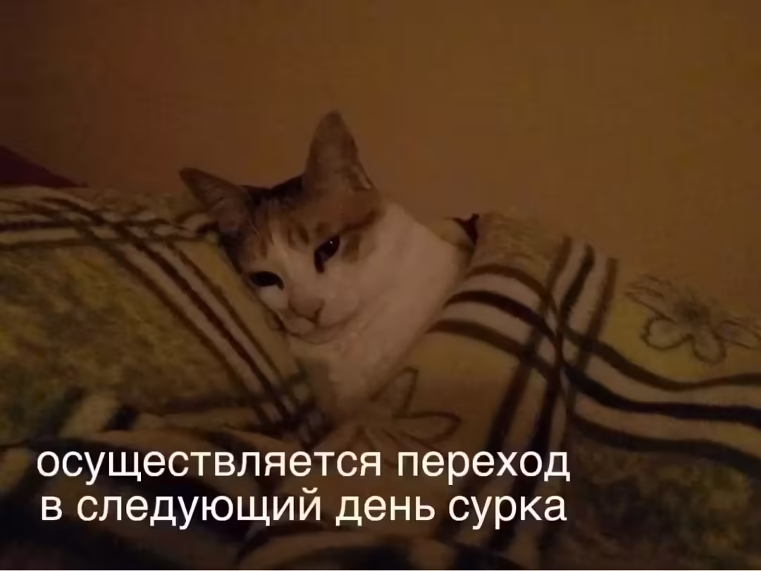 Смешнявка #1711