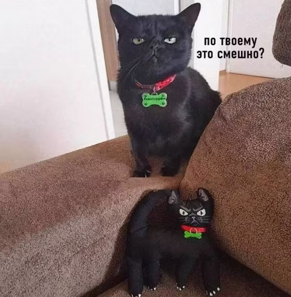 Смешнявка #1720