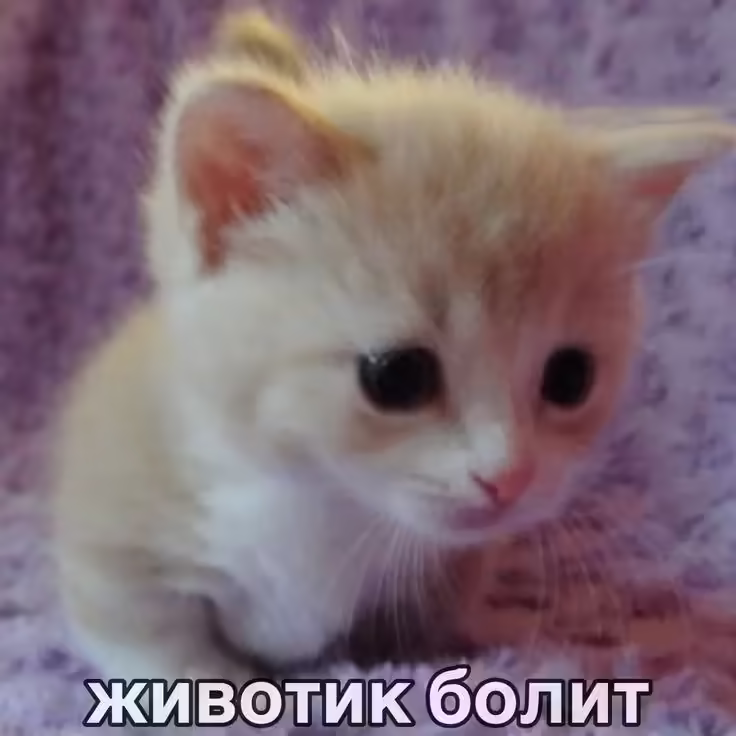 Смешнявка #1723