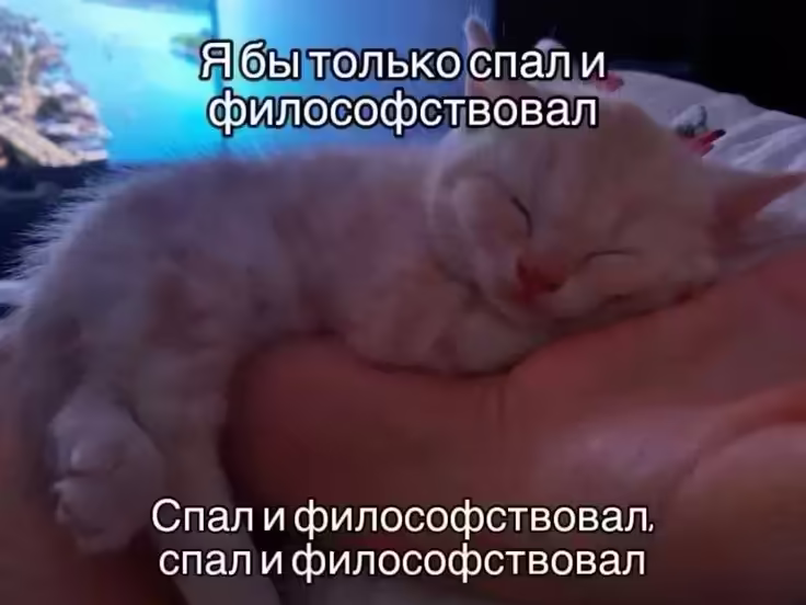 Смешнявка #1727