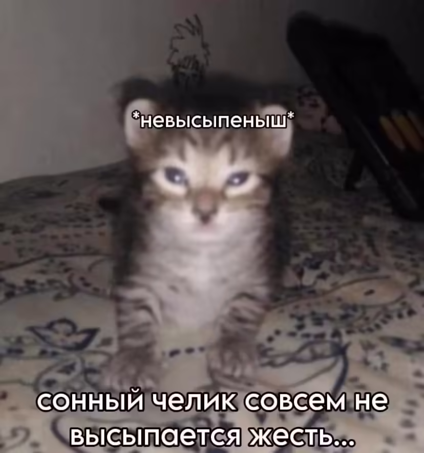 Смешнявка #1730