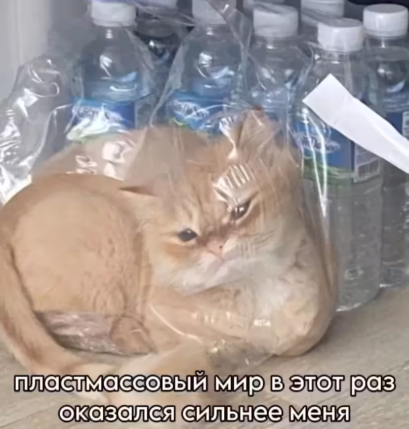 Смешнявка #1736