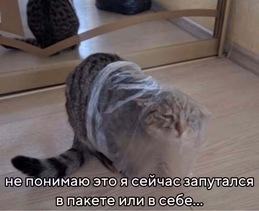 Смешнявка #1739