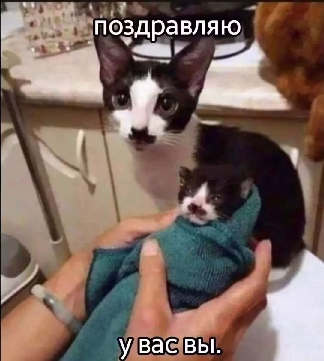 Смешнявка #1743