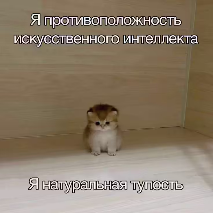 Смешнявка #1746