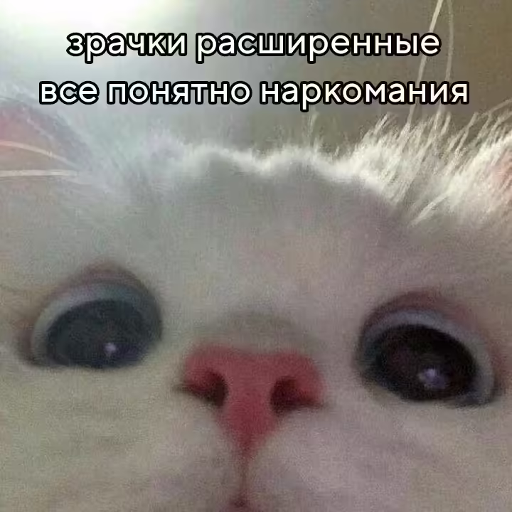 Смешнявка #1761