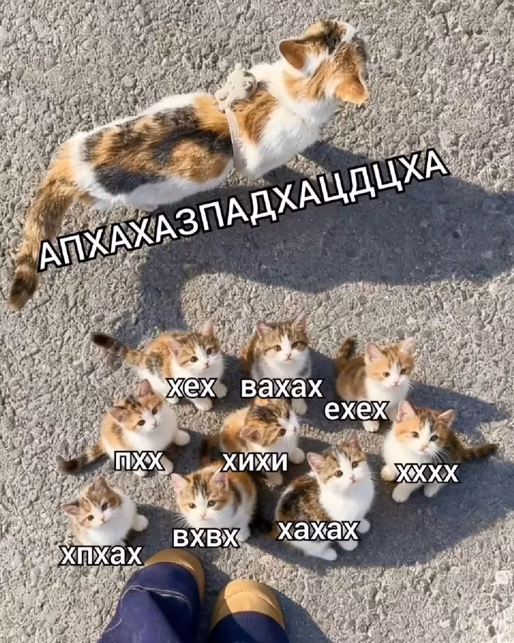 Смешнявка #1764