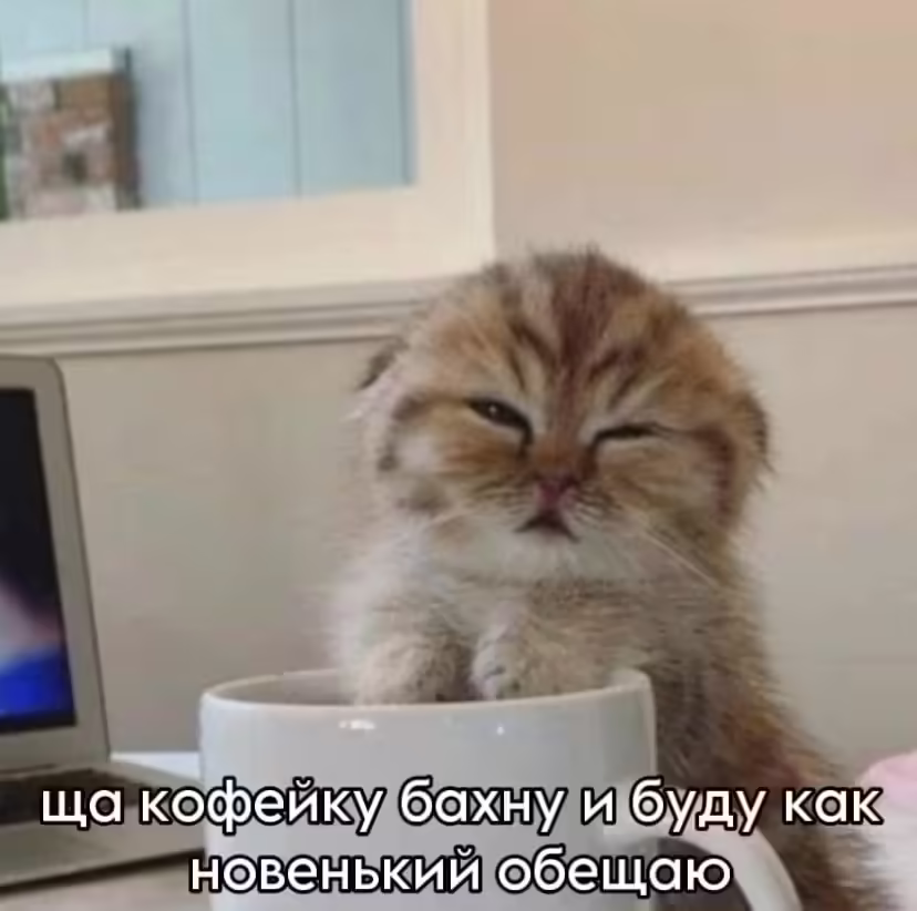 Смешнявка #1774