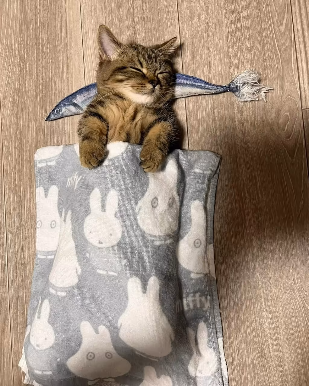 Смешнявка #1786