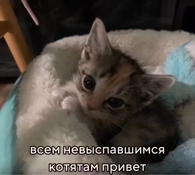 Смешнявка #1788