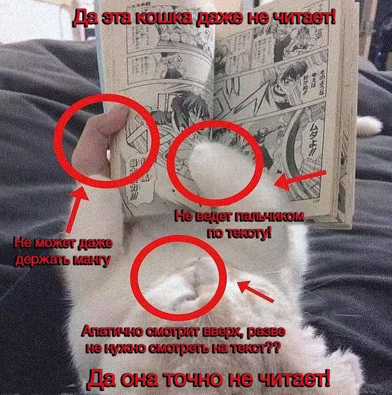 Смешнявка #1789