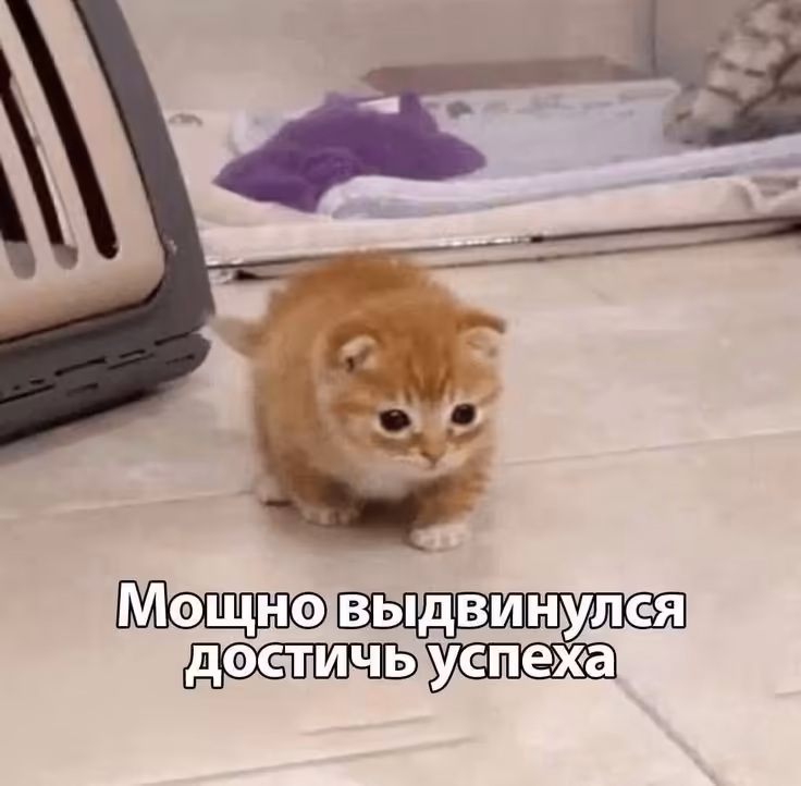 Смешнявка #1794