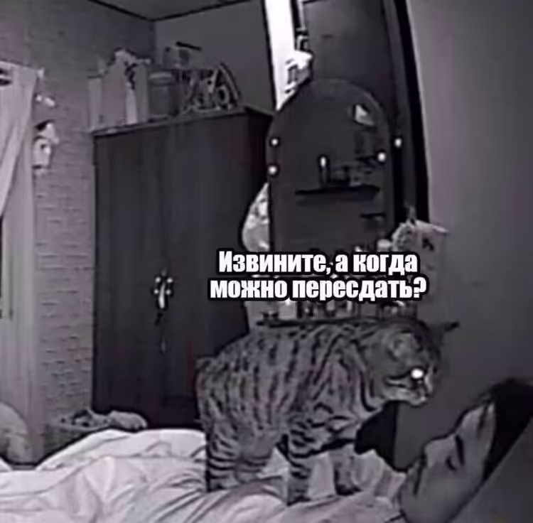 Смешнявка #1803