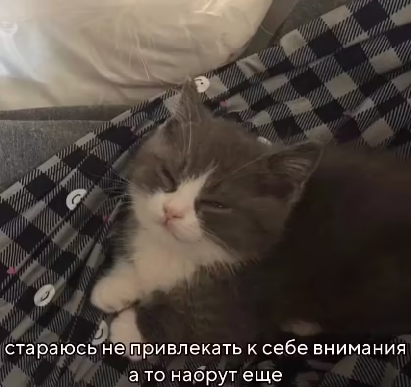 Смешнявка #1805