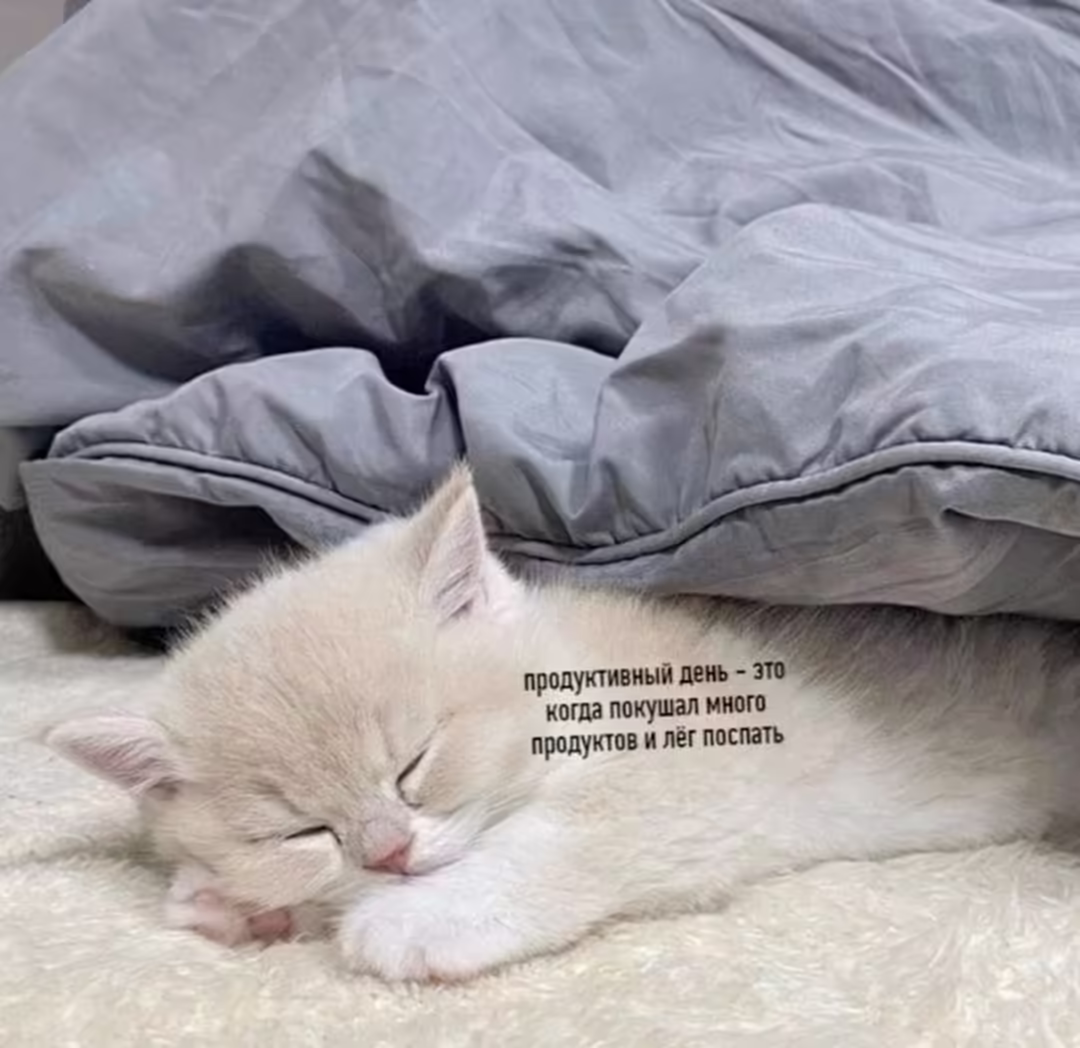 Смешнявка #1818