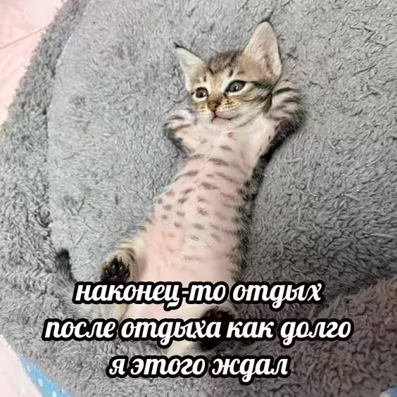 Смешнявка #1831