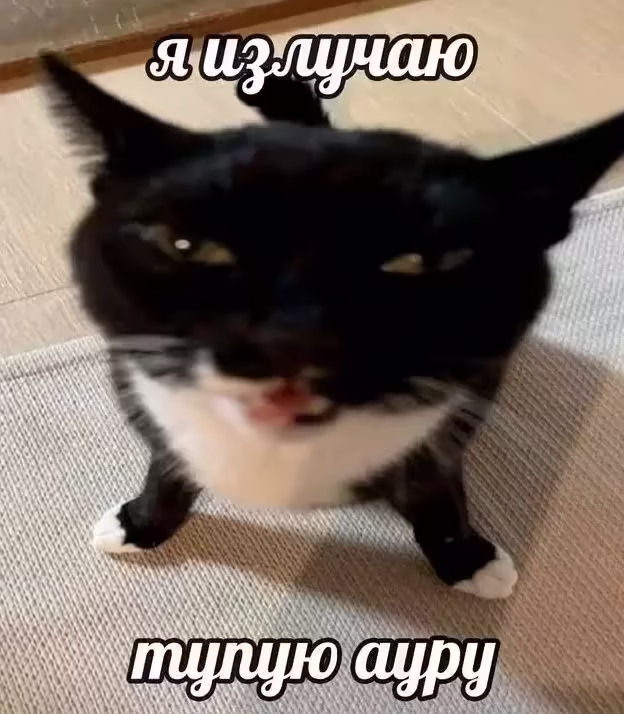 Смешнявка #1837