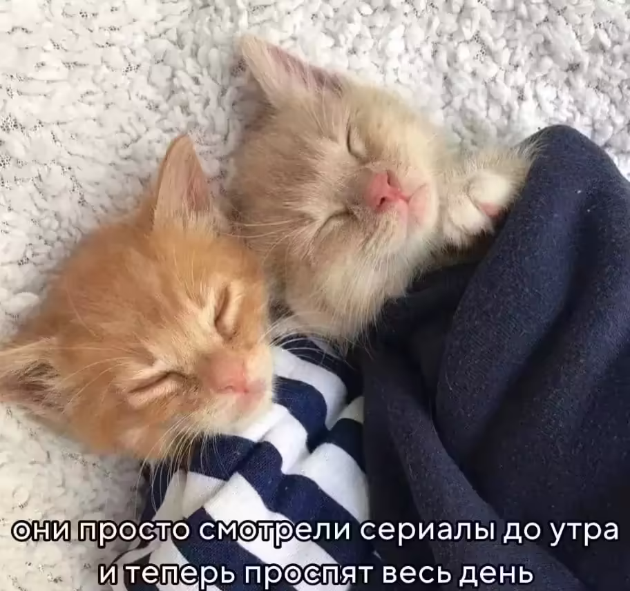 Смешнявка #1841