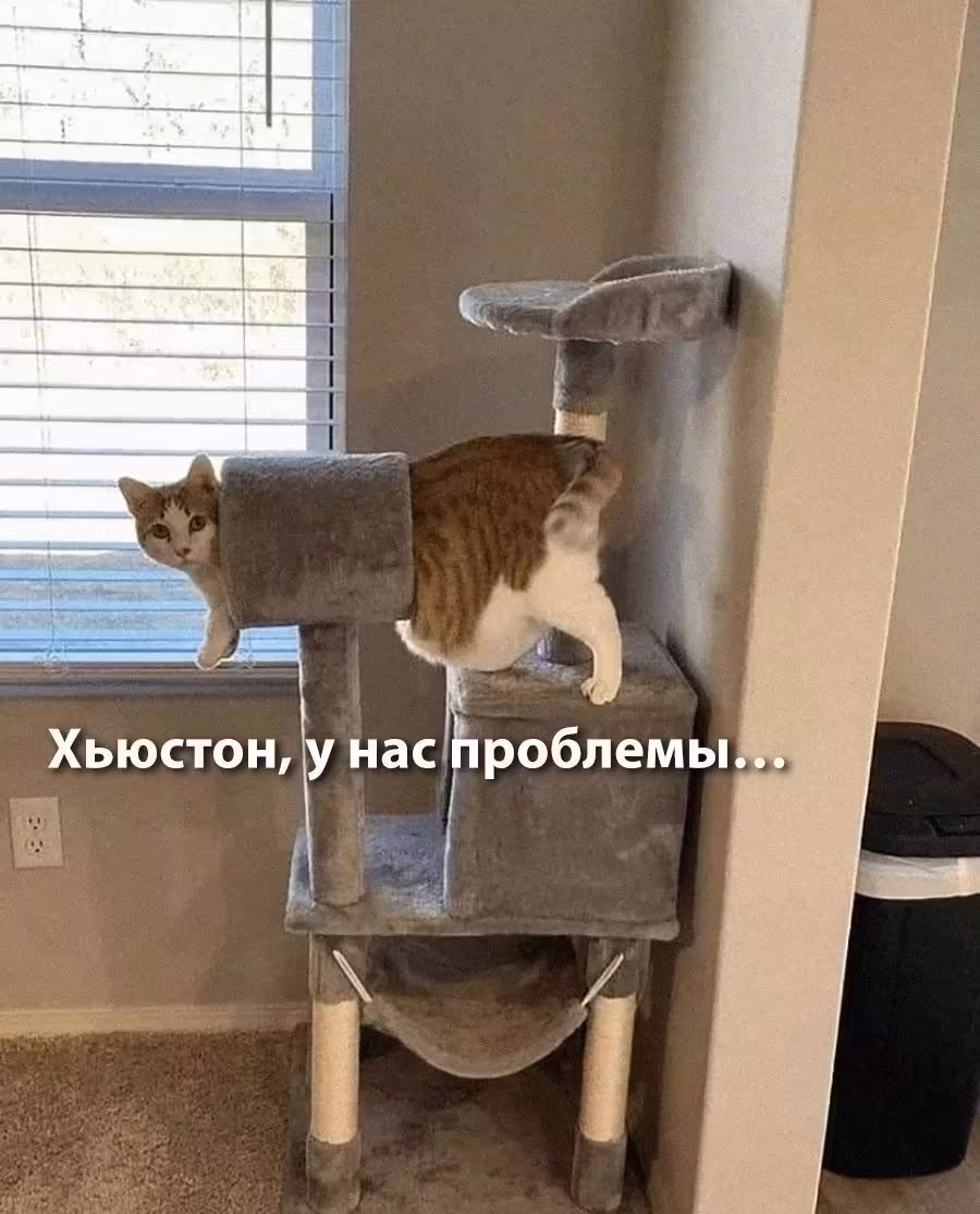 Смешнявка #1853