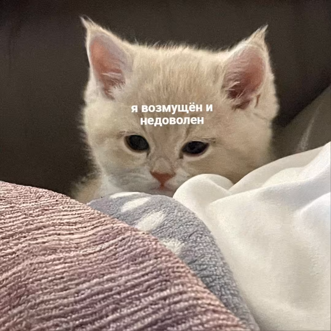 Смешнявка #1871