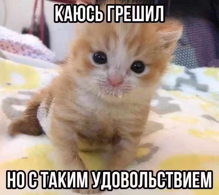 Смешнявка #1876