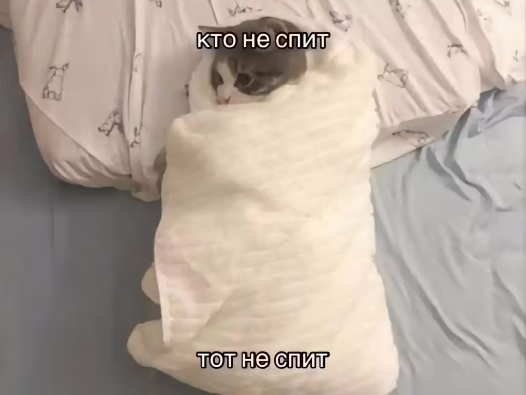 кот в вате
