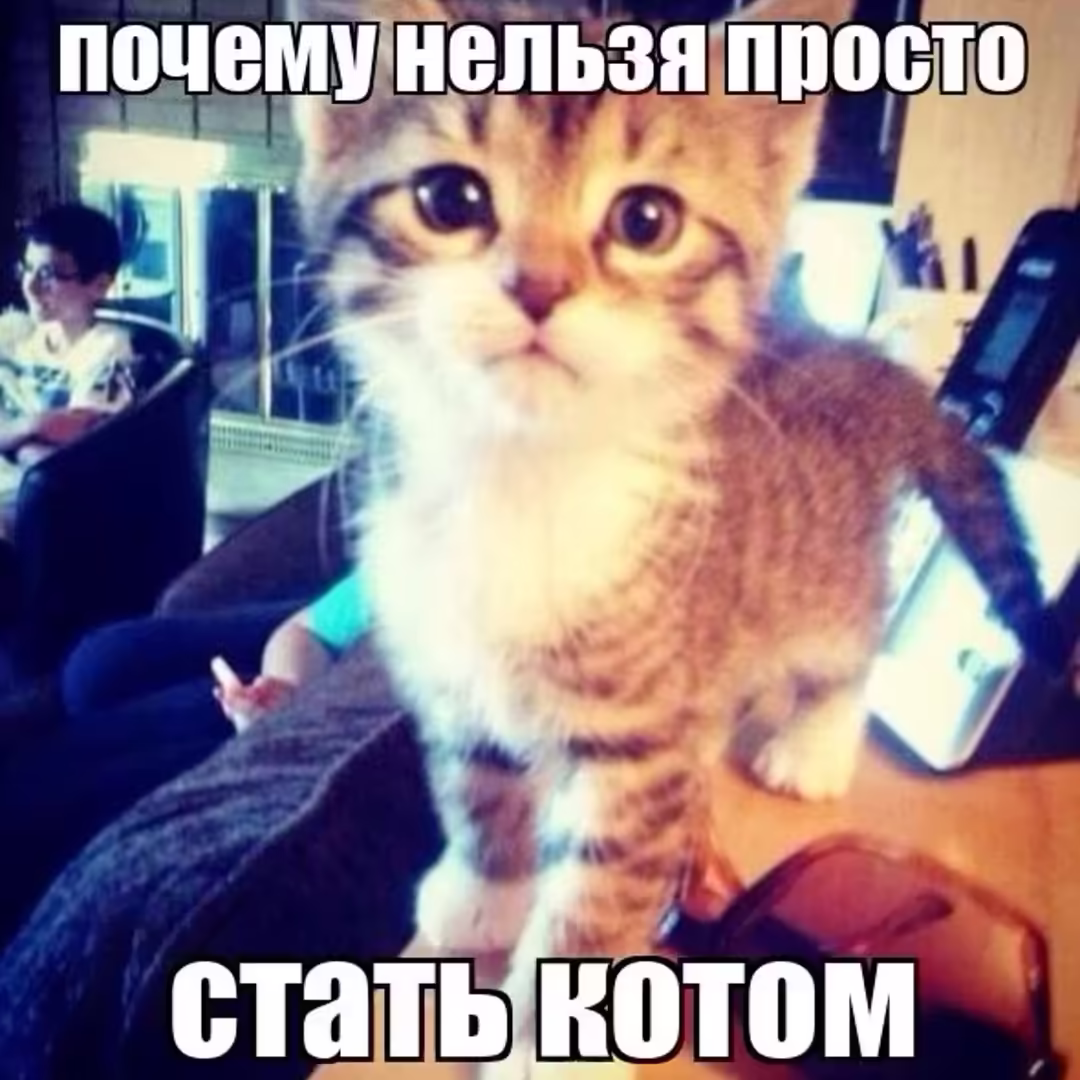 Смешнявка #1887