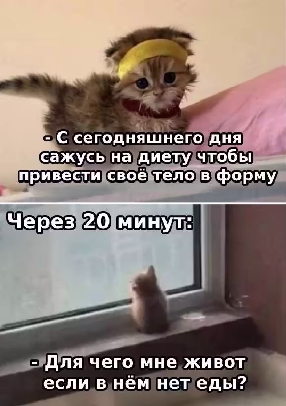 Смешнявка #1890