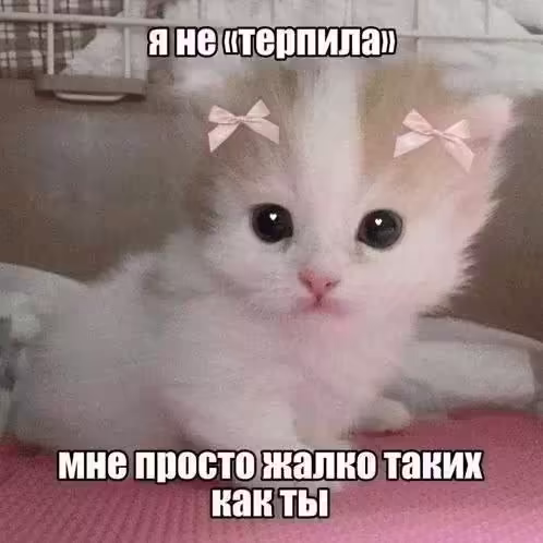 котя снова протестует