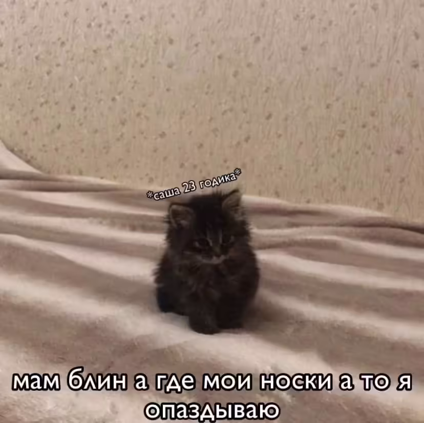 Саша, это мемасик про тебя???